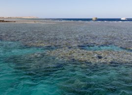 Rafa koralowa w okolicach Zatoki Marsa Mubarakwidziana ze statku